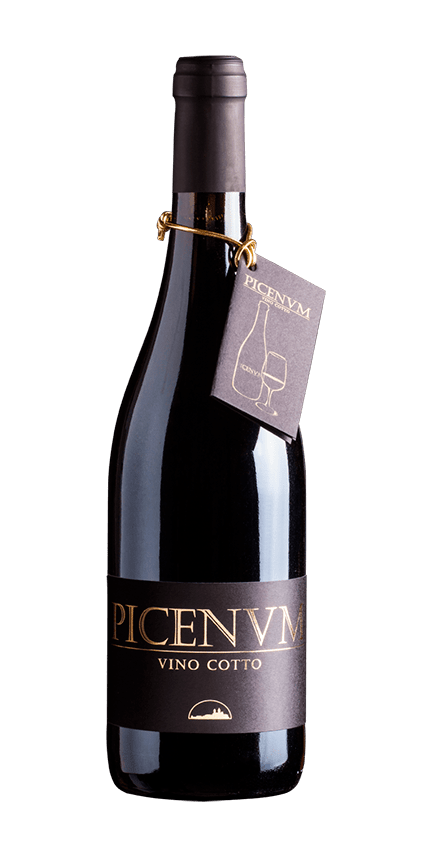 bottiglia vino cotto picenum